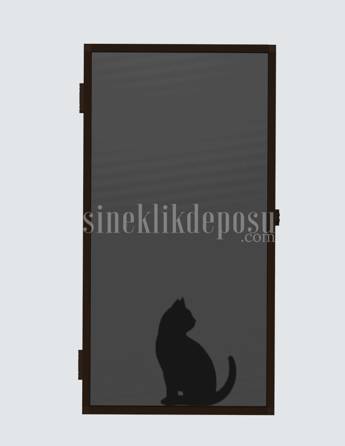 Menteşeli Kedi Sinekliği - Pencere